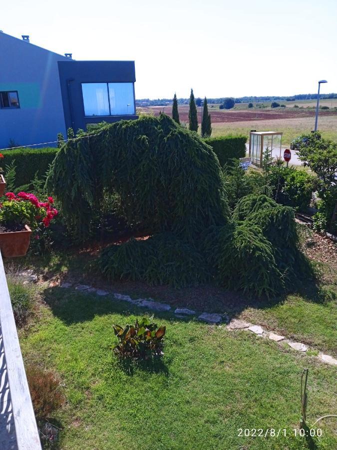 Apartments Ribic Umag Ngoại thất bức ảnh