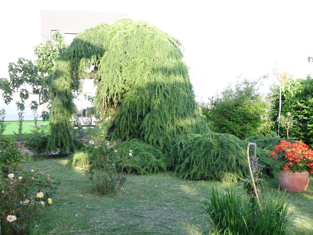 Apartments Ribic Umag Phòng bức ảnh
